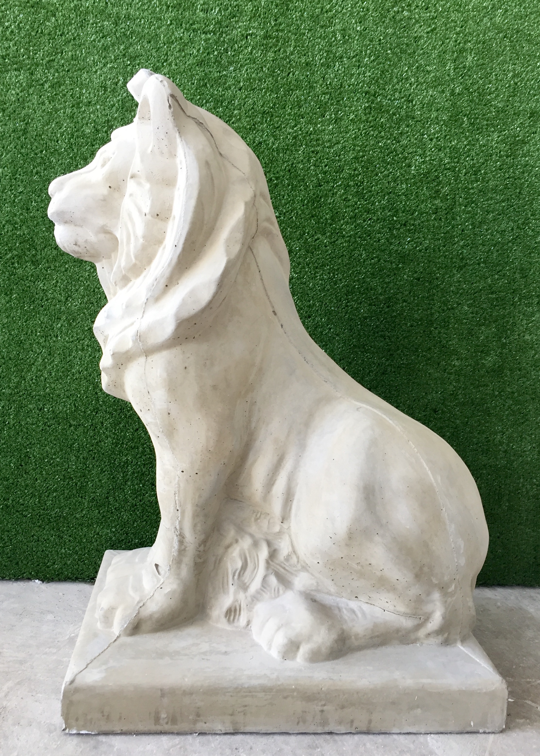Sitting Lion